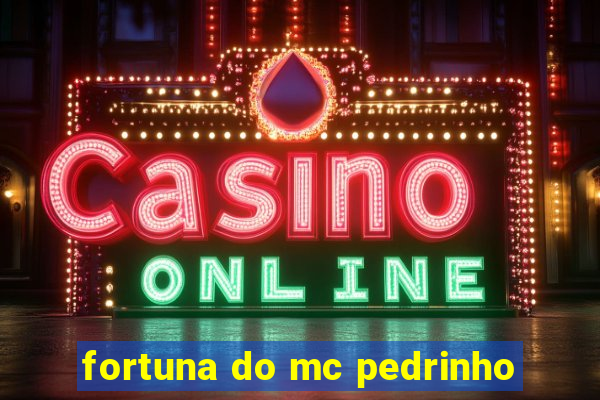 fortuna do mc pedrinho